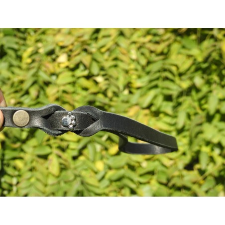 Set zgarda si lesa pentru caini , din piele naturala