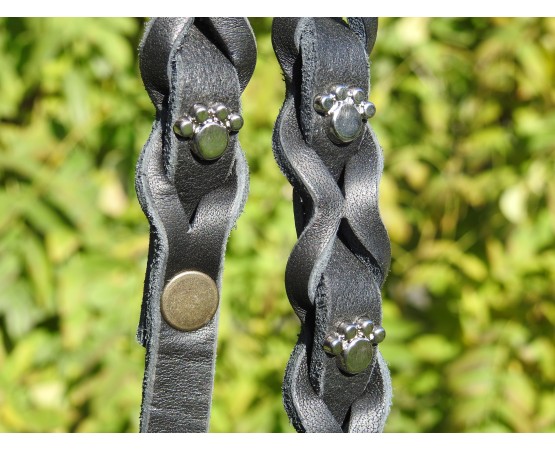 Set zgarda si lesa pentru caini , din piele naturala