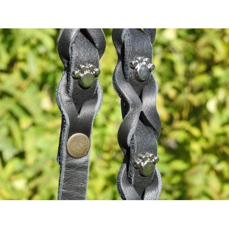 Set zgarda si lesa pentru caini , din piele naturala