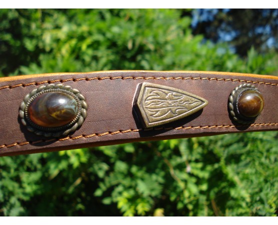 Zgardă de lux pentru caini , din piele naturala si chihlimbar