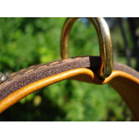 Zgardă de lux pentru caini , din piele naturala si chihlimbar