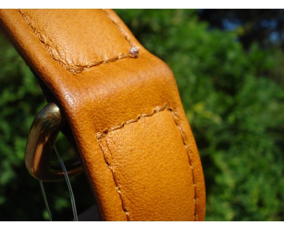 Zgardă de lux pentru caini , din piele naturala si chihlimbar