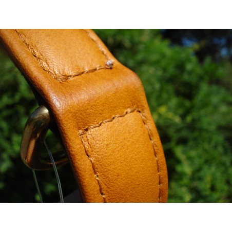 Zgardă de lux pentru caini , din piele naturala si chihlimbar