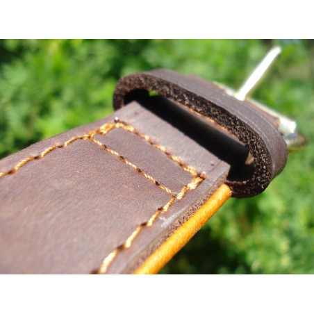 Zgardă de lux pentru caini , din piele naturala si chihlimbar