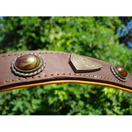 Zgardă de lux pentru caini , din piele naturala si chihlimbar