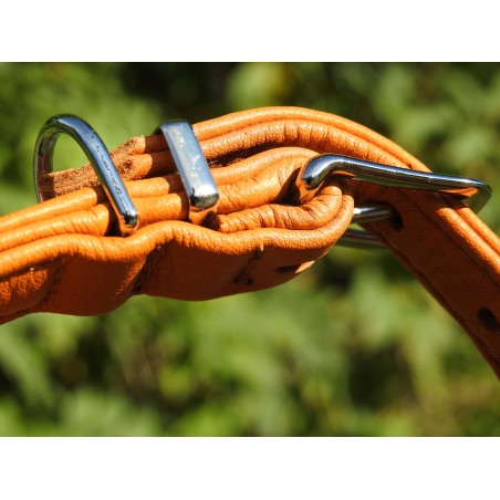 Zgardă de lux din piele nappa , pentru caini de tip Ogar ( Greyhound )