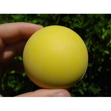 Minge pentru caini , din cauciuc natural moale