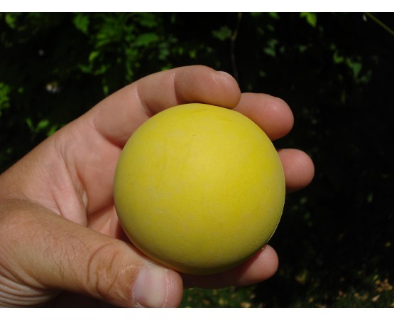 Minge pentru caini , din cauciuc natural moale