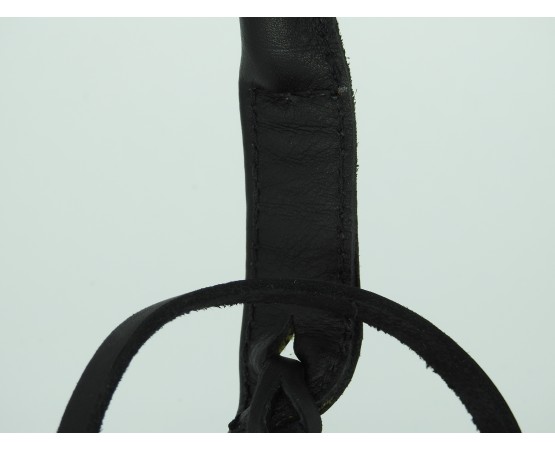 Bici profesional pentru dresaj canin