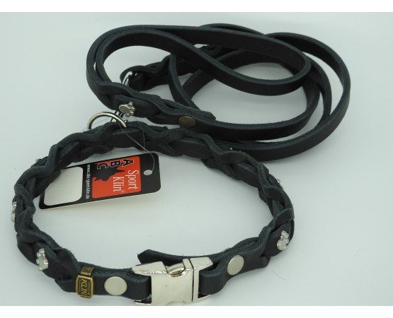 Set zgarda si lesa pentru caini , din piele naturala