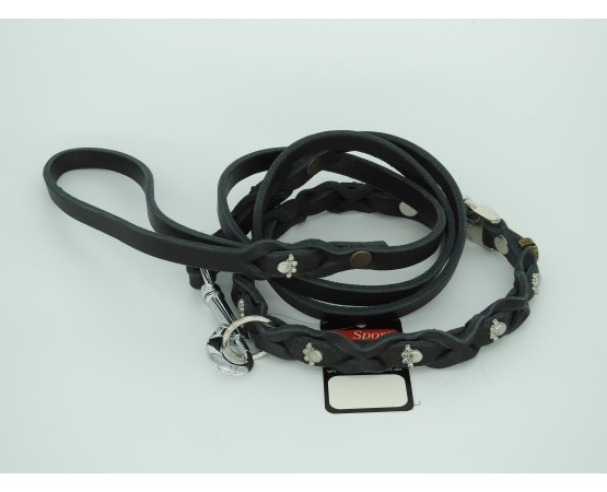 Set zgarda si lesa pentru caini , din piele naturala