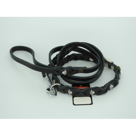 Set zgarda si lesa pentru caini , din piele naturala