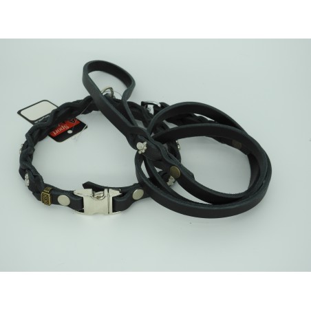 Set zgarda si lesa pentru caini , din piele naturala