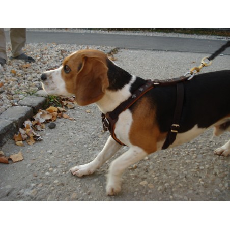 Ham de lux pentru caini confectionat din piele naturala fett si captusit cu piele moale nappa