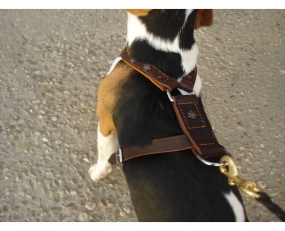 Ham de lux pentru caini confectionat din piele naturala fett si captusit cu piele moale nappa