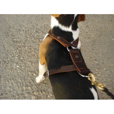 Ham de lux pentru caini confectionat din piele naturala fett si captusit cu piele moale nappa