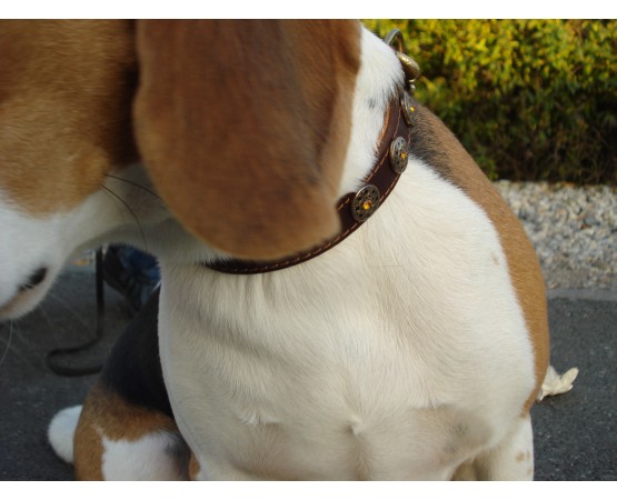 Zgardă de lux pentru caini , din piele naturala şi cristale Swarovski roz 