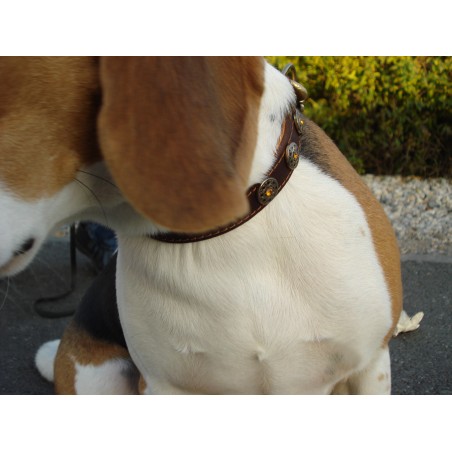 Zgardă de lux pentru caini , din piele naturala şi cristale Swarovski roz 