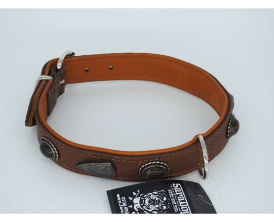 Zgardă de lux pentru caini , din piele naturala si chihlimbar