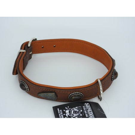 Zgardă de lux pentru caini , din piele naturala si chihlimbar