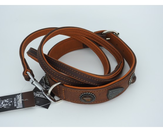 Zgardă de lux pentru caini , din piele naturala si chihlimbar