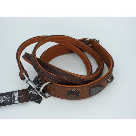 Zgardă de lux pentru caini , din piele naturala si chihlimbar