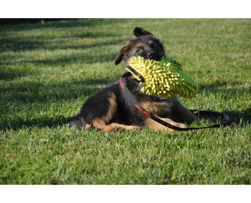 Tug pentru caini puppy , din microfibra 