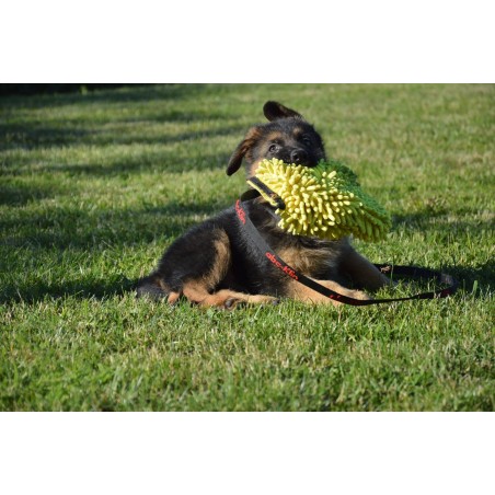 Tug pentru caini puppy , din microfibra 