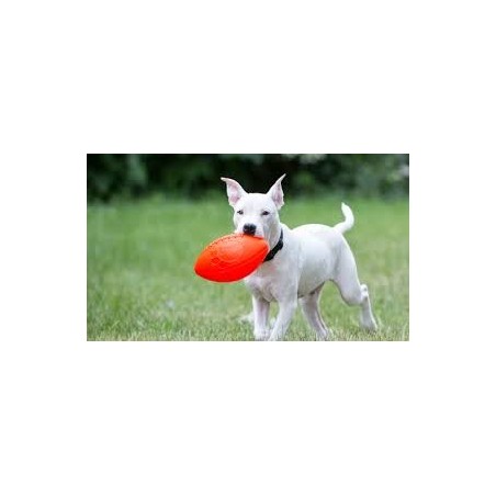 Minge pentru caini Jolly Pets