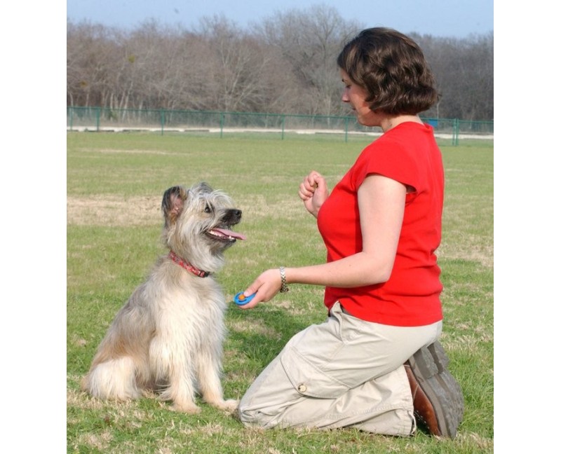 Clicker pentru dresaj canin Academia Starmark