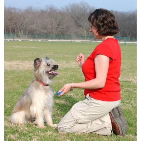 Clicker pentru dresaj canin Academia Starmark