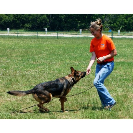 Clicker pentru dresaj canin Academia Starmark