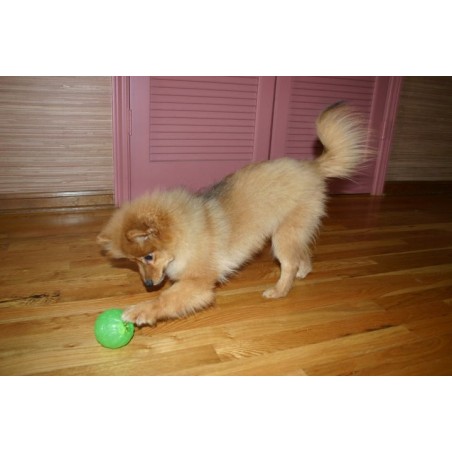 Minge interactiva pentru caini Academia Starmark