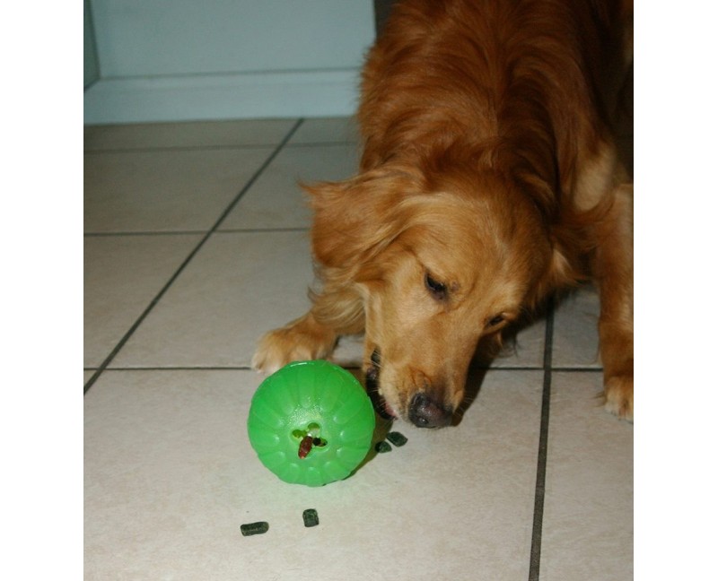 Minge interactiva pentru caini Academia Starmark