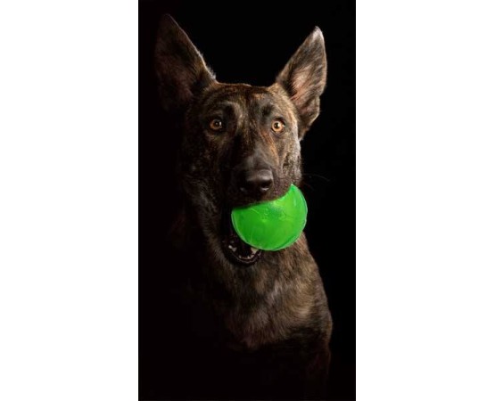 Minge interactiva pentru caini Academia Starmark