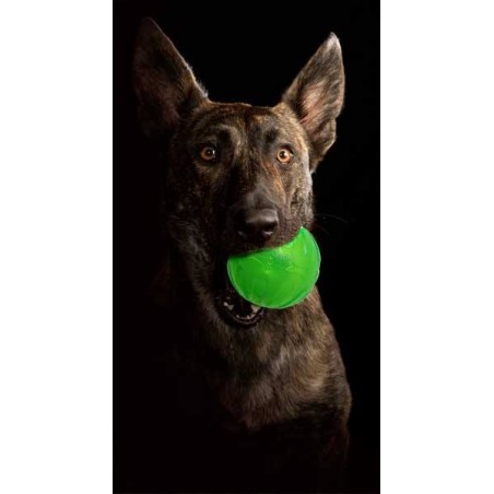 Minge interactiva pentru caini Academia Starmark