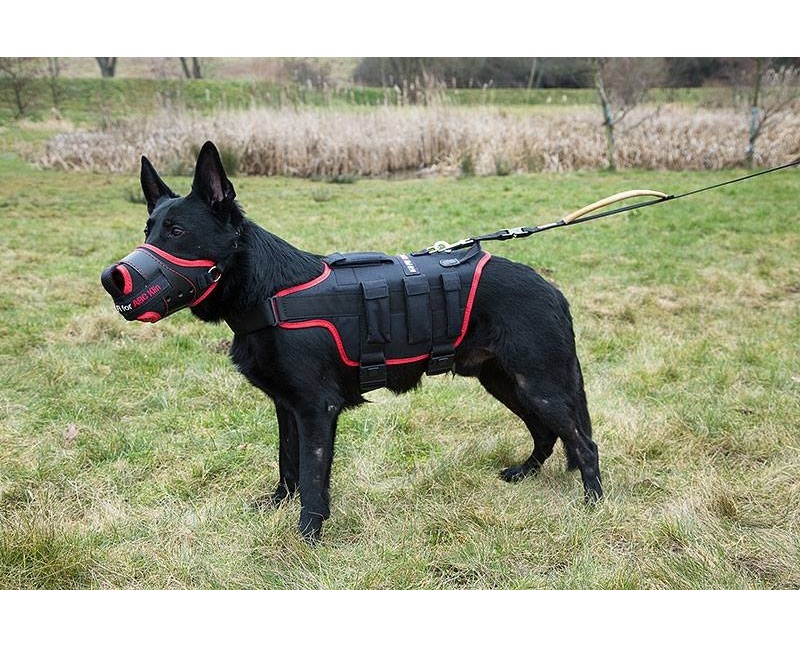 Botnita militara pentru Ciobanesc German