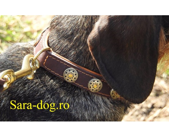 Zgardă de lux pentru caini , din piele naturala cu Cristale Swarovski Galben 