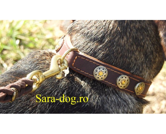 Zgardă de lux pentru caini , din piele naturala cu Cristale Swarovski Galben 