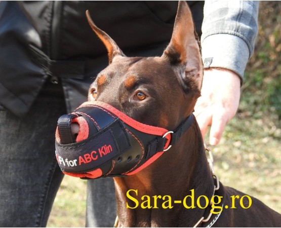 Botnita militara pentru  Malinois