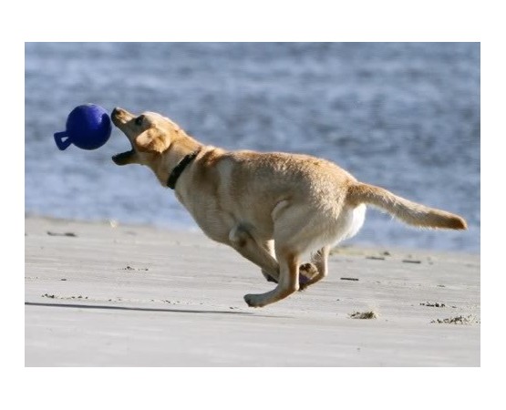 Minge pentru caini / Tug n toss jolly ball