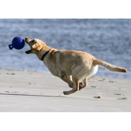 Minge pentru caini / Tug n toss jolly ball