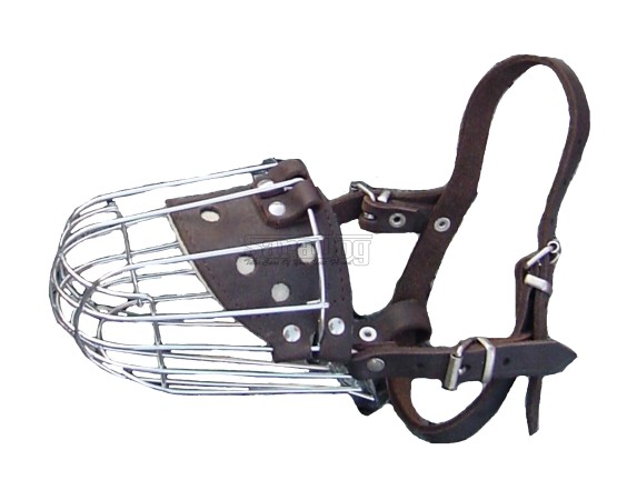 Botniţă pentru Dobermann