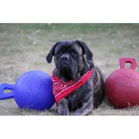Minge pentru caini / Tug n toss jolly ball