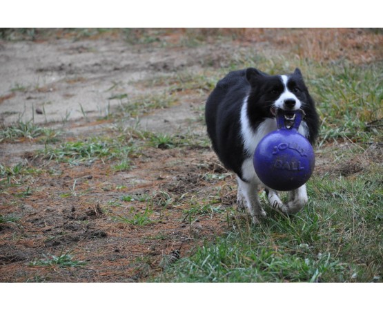 Minge pentru caini / Tug n toss jolly ball