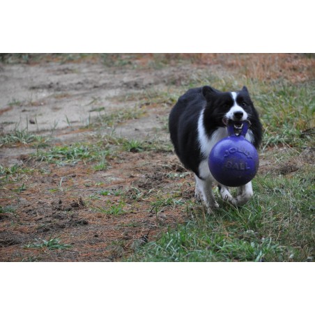 Minge pentru caini / Tug n toss jolly ball