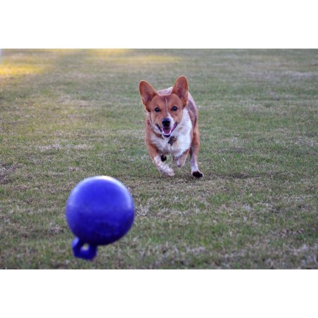 Minge pentru caini / Tug n toss jolly ball