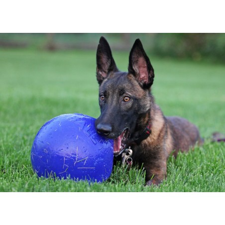Minge pentru caini / Tug n toss jolly ball