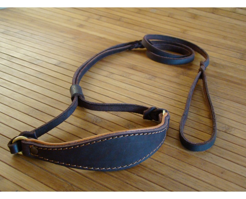 Lesa pentru prezentare ciobanesc german