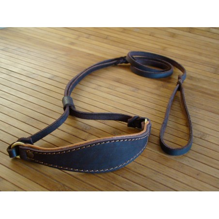 Lesa pentru prezentare ciobanesc german